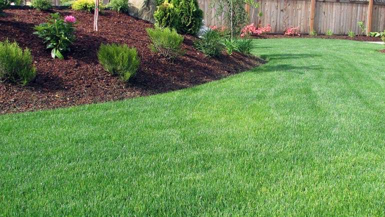 Landscaped Lawn
